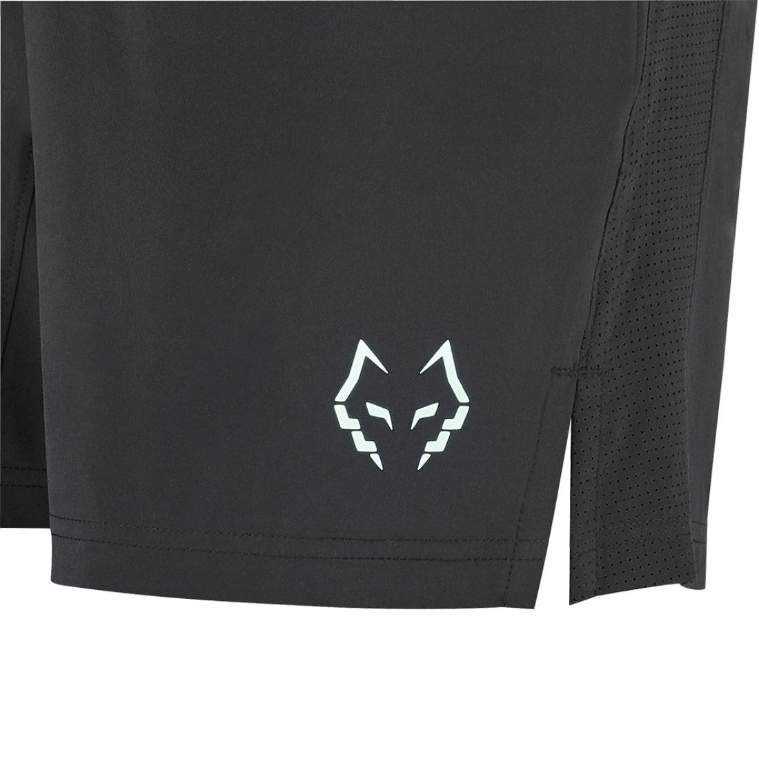 Мъжки шорти Babolat Short Lebron Black